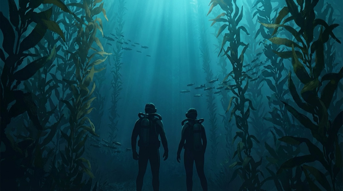 Two operators surveying the kelp forest ecosystem